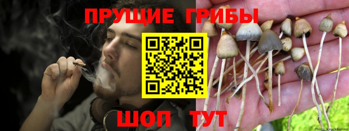 Псилоцибиновые грибы MAGIC MUSHROOMS  Вход с VPN  Усть-Джегута 